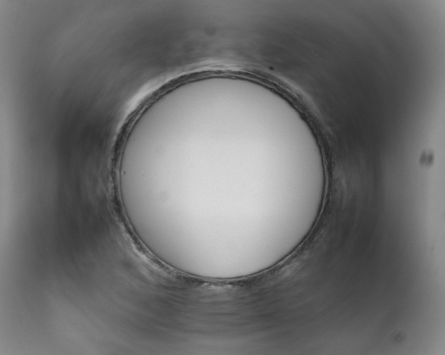 X0000111901168200907271150