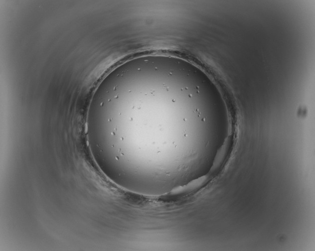 X0000111901169200907271150