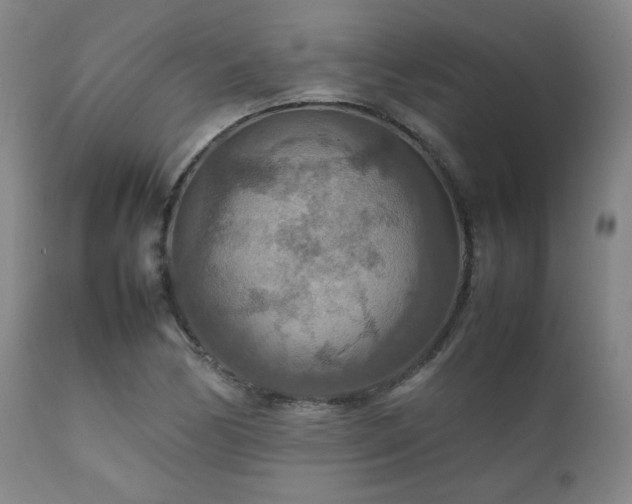 X0000111901170200907271150