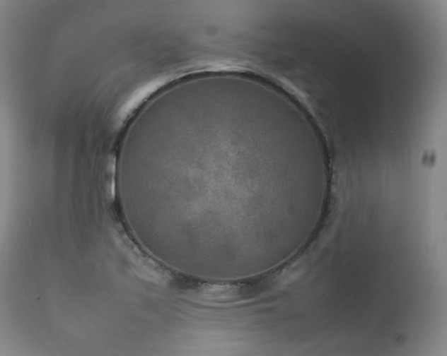 X0000111901171200907271150