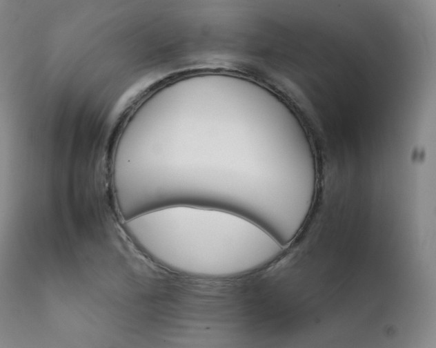 X0000111901172200907271150