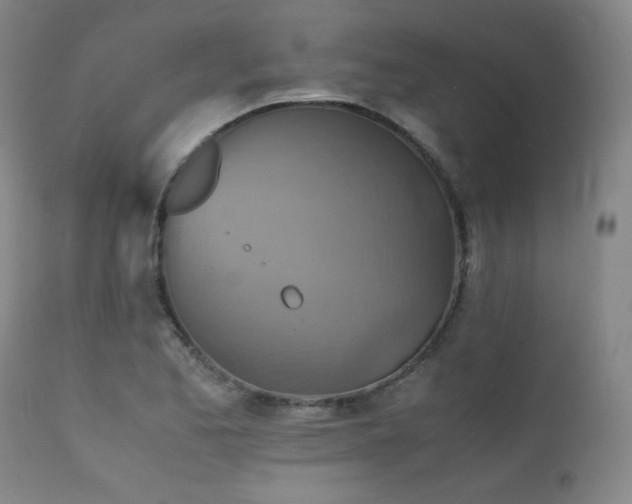 X0000111901173200907271150