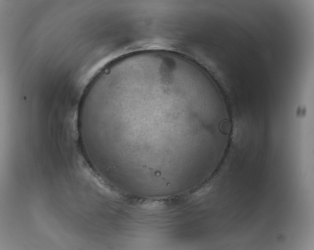 X0000111901174200907271150