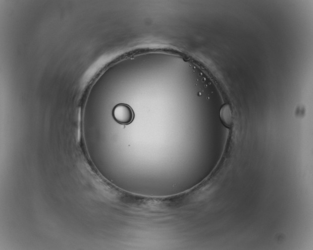 X0000111901175200907271150