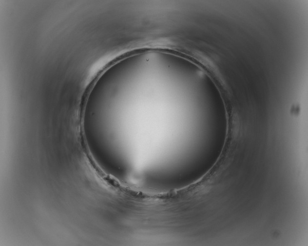 X0000111901176200907271150