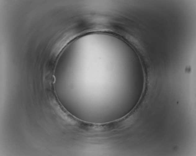 X0000111901177200907271150