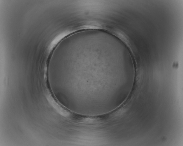 X0000111901179200907271150