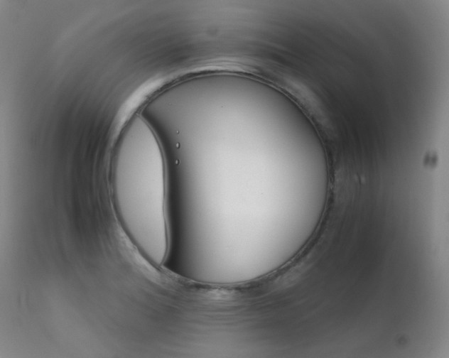 X0000111901180200907271150