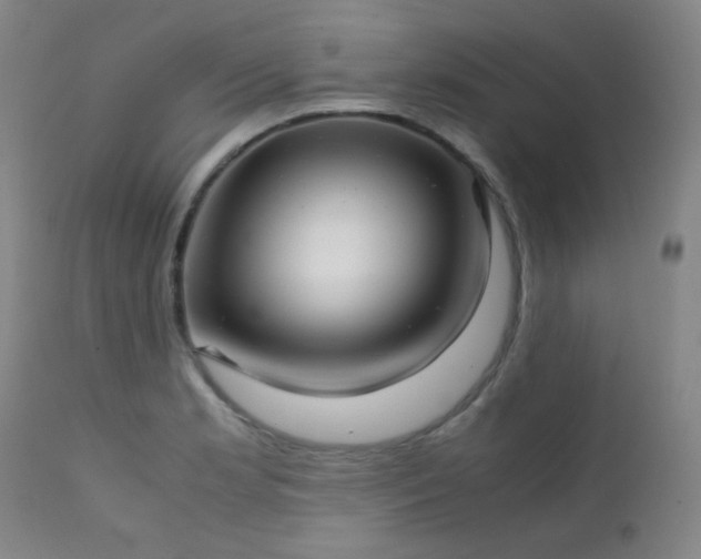 X0000111901181200907271150