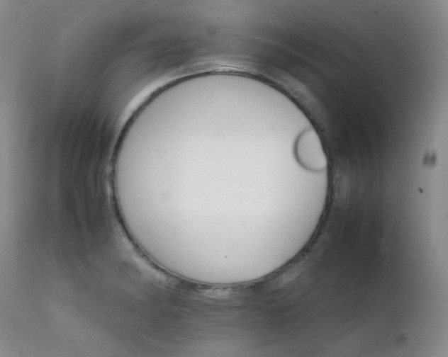 X0000111901182200907271150