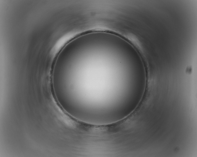 X0000111901183200907271150