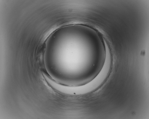 X0000111901185200907271150