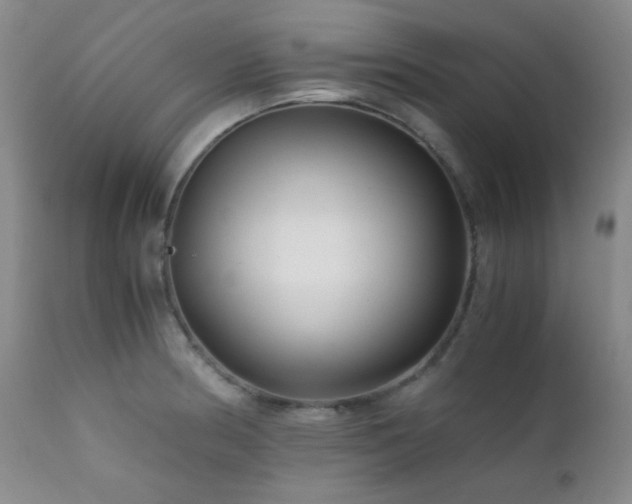 X0000111901186200907271150