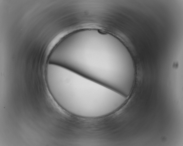 X0000111901188200907271150