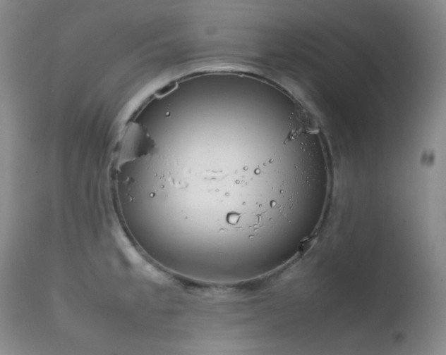 X0000111901189200907271150