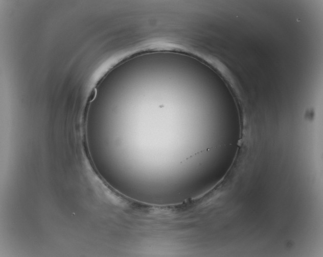 X0000111901191200907271150