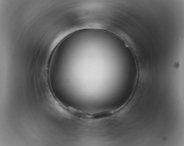 X0000111901192200907271150