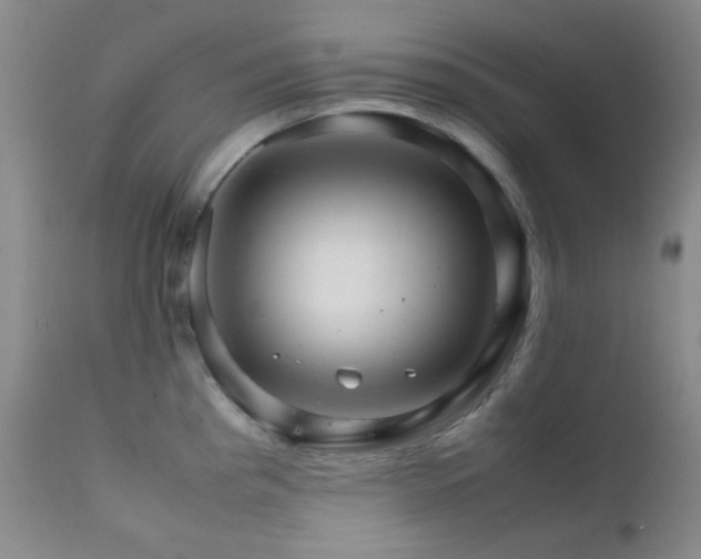 X0000111901193200907271150