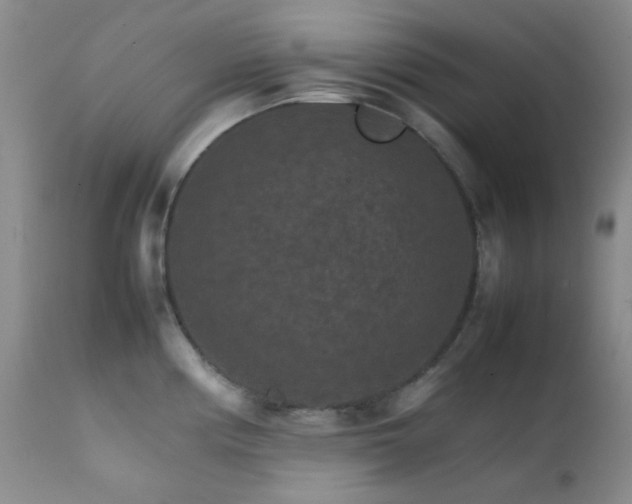 X0000111901194200907271150