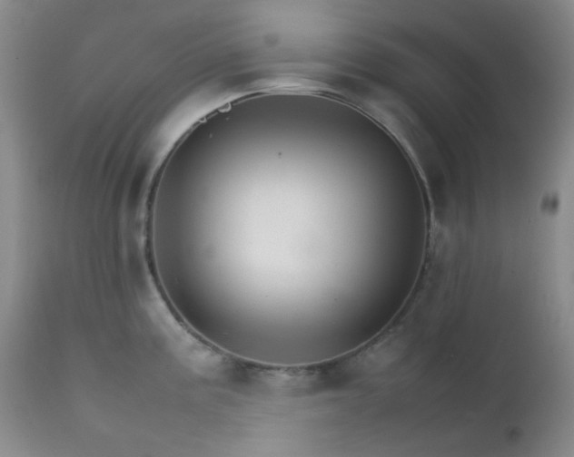 X0000111901195200907271150