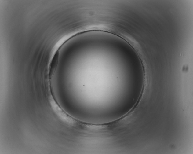 X0000111901200200907271150