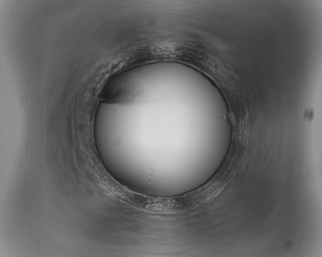 X0000111901201200907271149