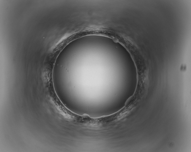 X0000111901206200907271149