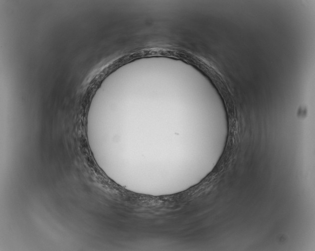 X0000111901207200907271149