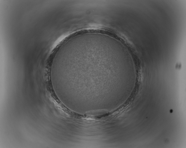 X0000111901208200907271149