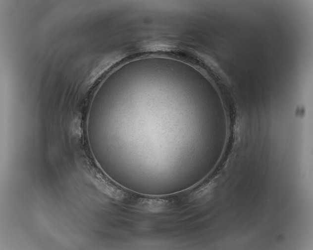 X0000111901209200907271149