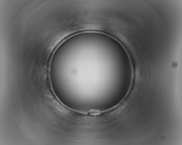 X0000111901212200907271149