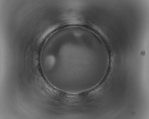 X0000111901213200907271149