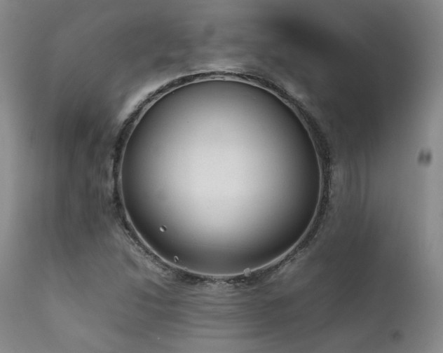X0000111901214200907271149