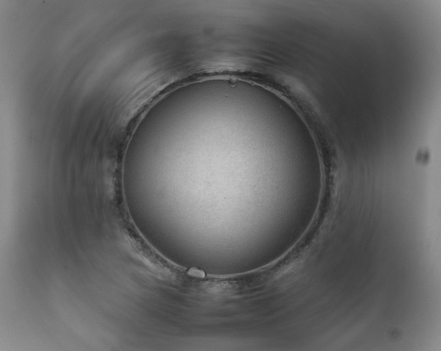 X0000111901217200907271149