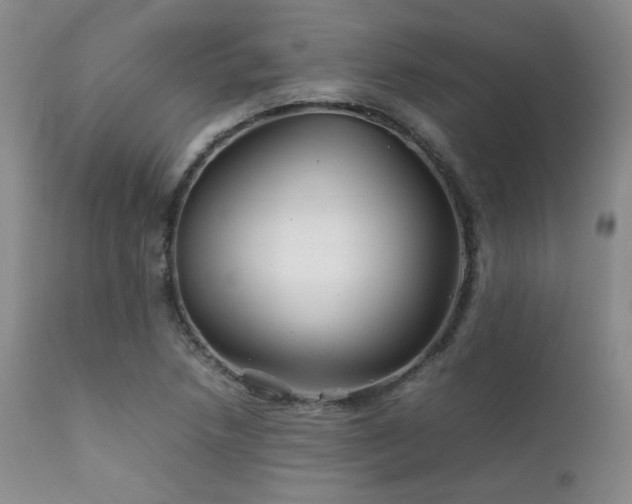 X0000111901218200907271149