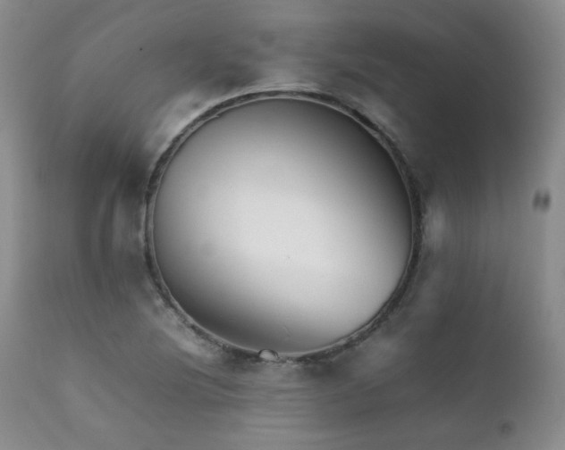 X0000111901220200907271149