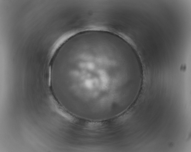 X0000111901223200907271150