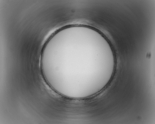 X0000111901224200907271150