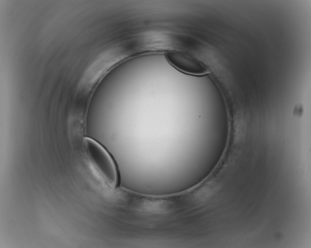 X0000111901225200907271150