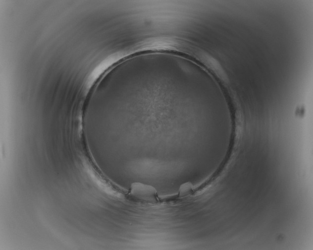 X0000111901226200907271150