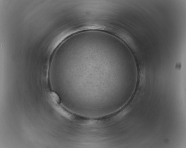 X0000111901228200907271150