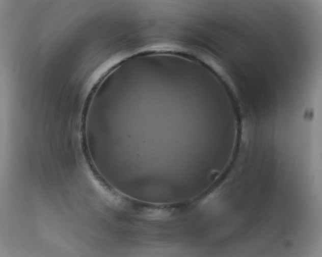 X0000111901229200907271150