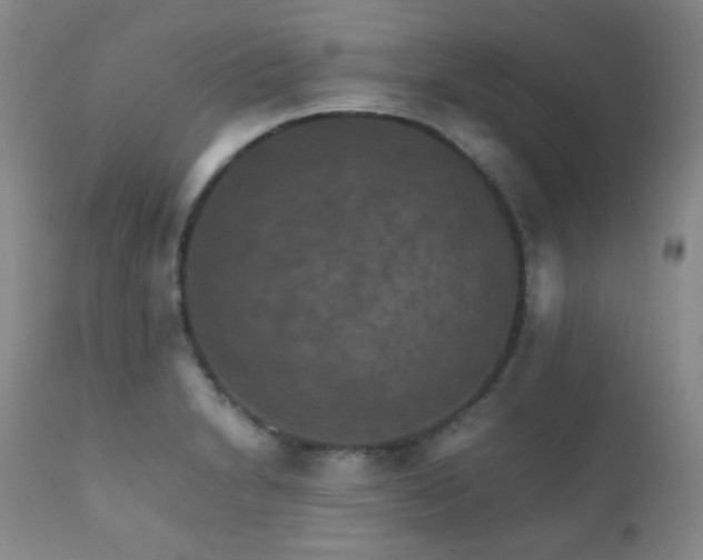 X0000111901230200907271150