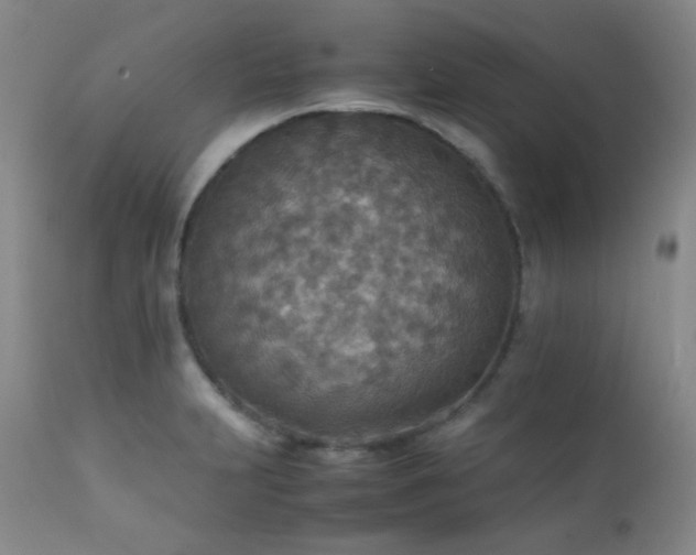 X0000111901231200907271150