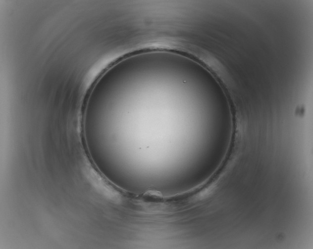 X0000111901232200907271150