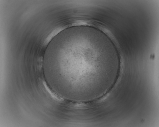 X0000111901233200907271150