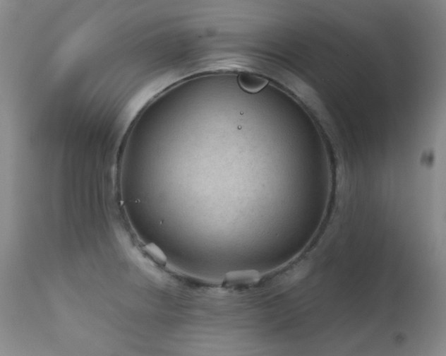 X0000111901234200907271150