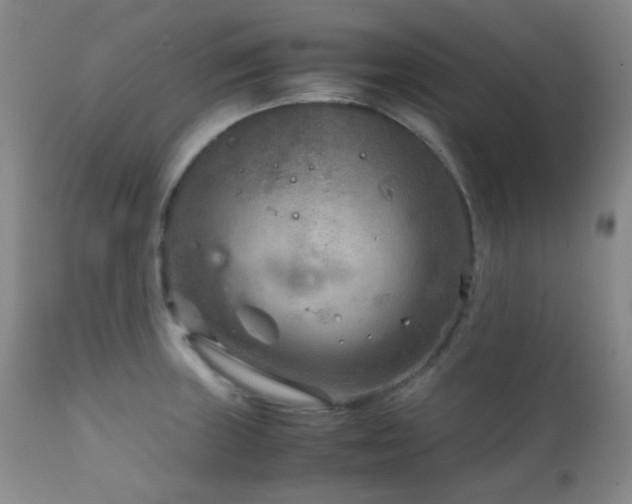 X0000111901235200907271150