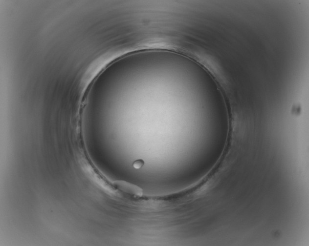 X0000111901236200907271150