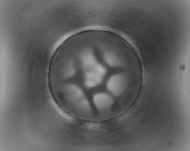 X0000111901237200907271150